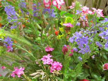 blumen