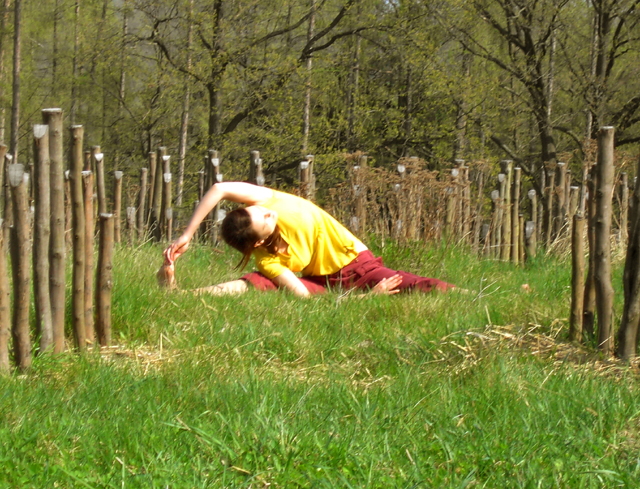 yoga alexandra schleining